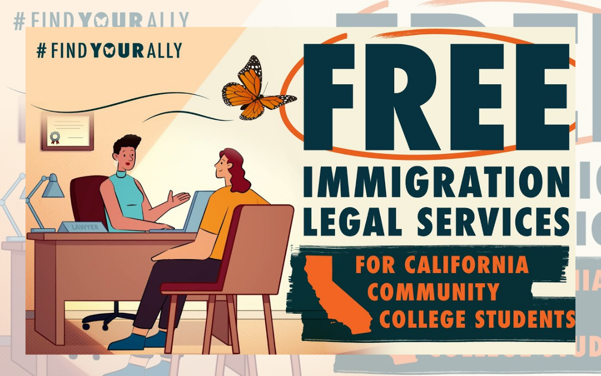 “Find Your Ally”: The Network Protecting Immigrant Students Amid the Hardening of U.S. Immigration Policies