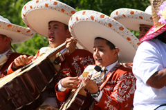 2011 Rose Parade