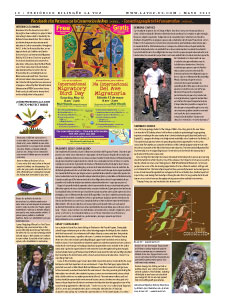 International Migratory Bird Day