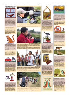 Tips to take care of our feathered friends