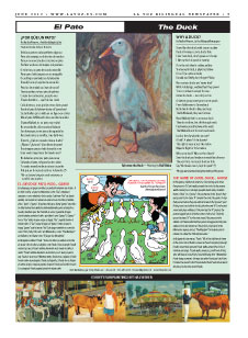 The Duck