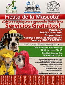 Fiesta de la Mascota