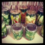 Fermentation Festival