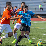 Roseland Cup