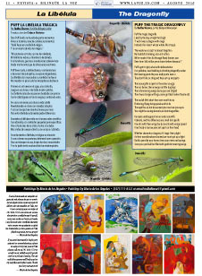 La Voz June 2016