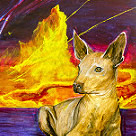 Ever Coyote Exhibit