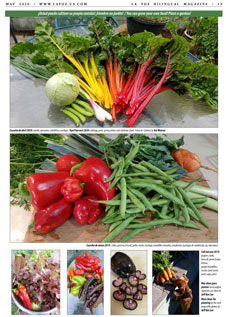 Special Garden Section