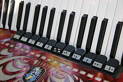 Cotati Accordion Festival