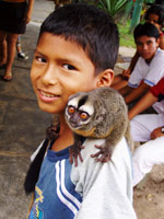Peruvian boy