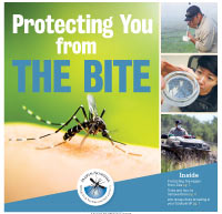Protecting You from THE BITE